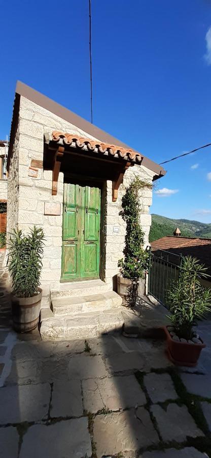 Il Gelsomino Bed and Breakfast Castelmezzano Eksteriør billede